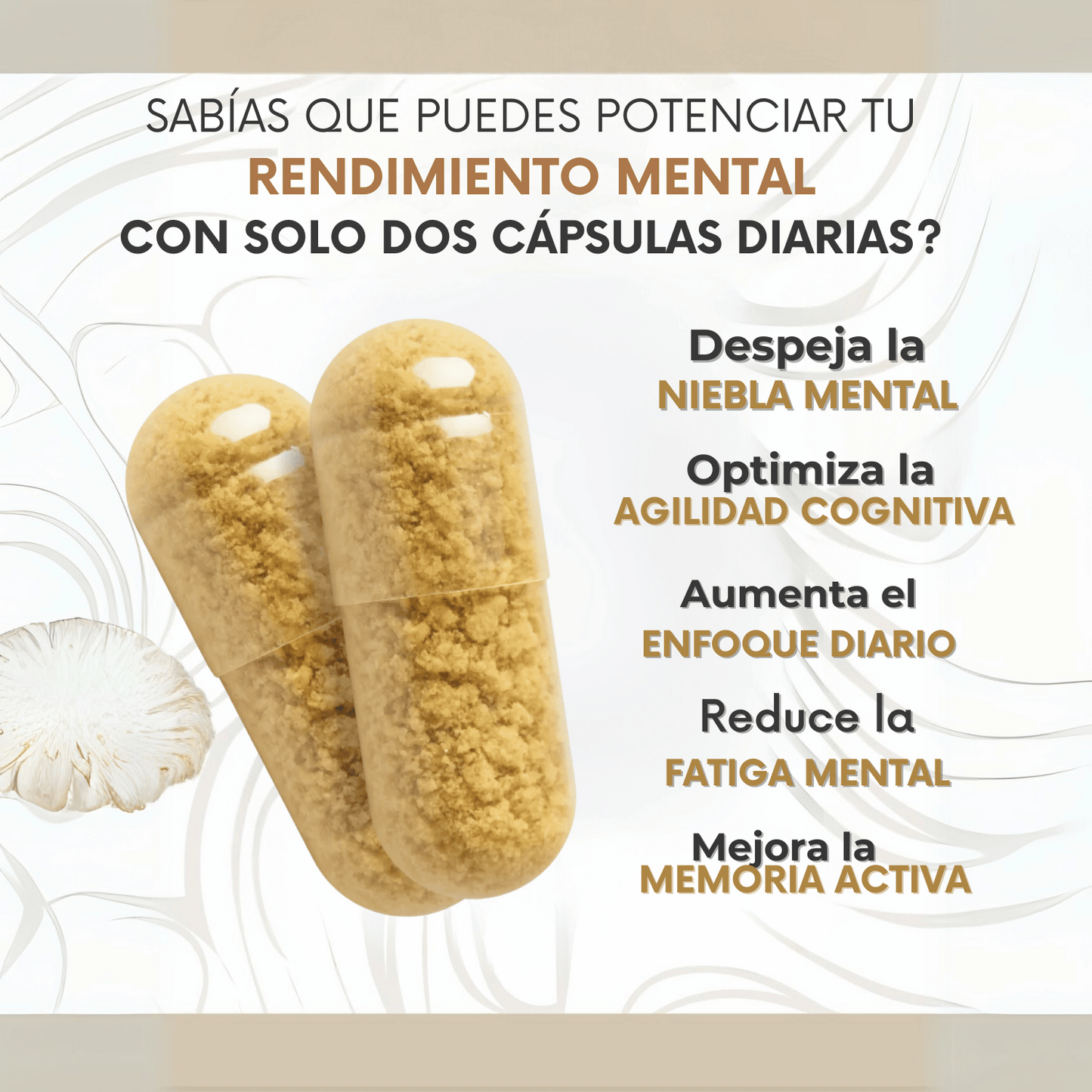 🧄 MELENA DE LEÓN FORTIFICADA con Mg+cB+PS 1000MG 🧠