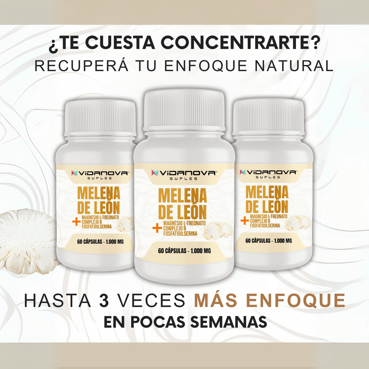 🧄 MELENA DE LEÓN FORTIFICADA con Mg+cB+PS 1000MG 🧠